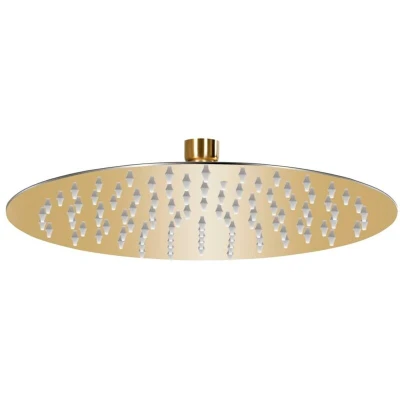 Pilt vidaXL Rain Shower Head Stainless Steel 25 cm Round Gold